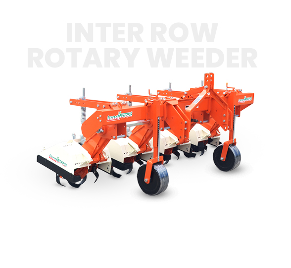 10-Deacetylbaccatin III